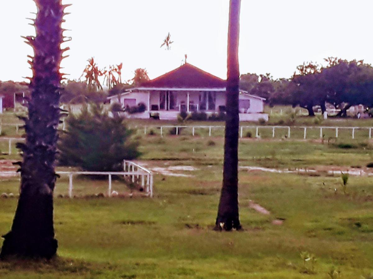 Wera Beach Kadumbul Exterior foto