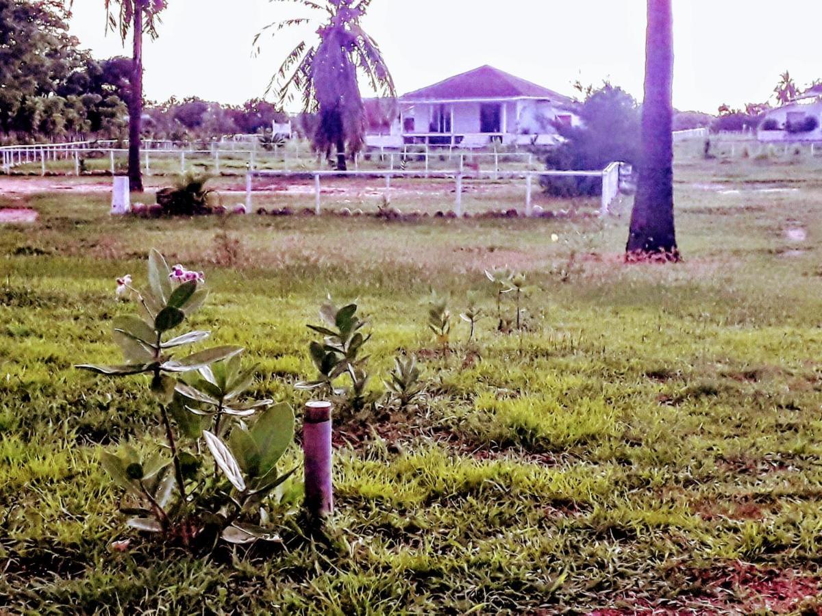 Wera Beach Kadumbul Exterior foto